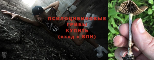 герыч Няндома